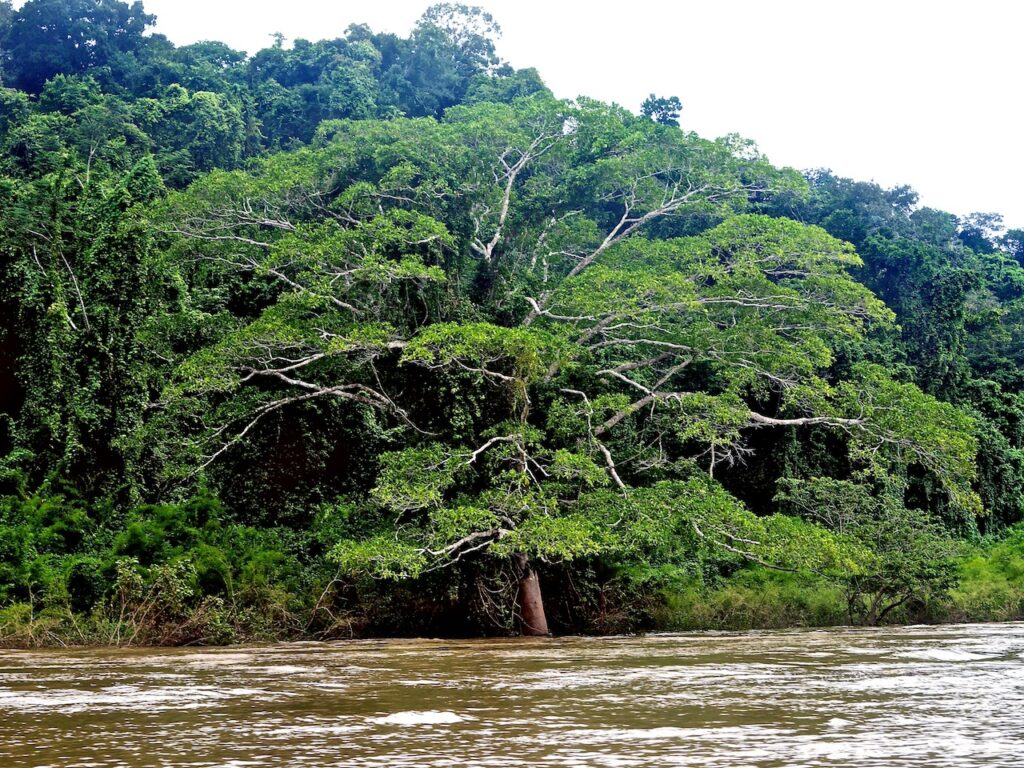 Río Usumacinta